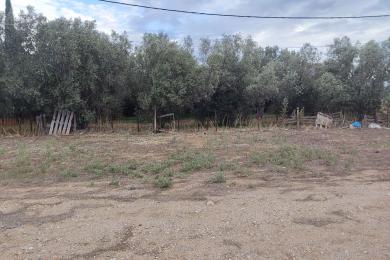 Aspropyrgos, Agricultural Land, Sale, 175 sq.m